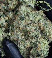 Imagen de HydroOrganicFla (Chem 91 Skunk VA)