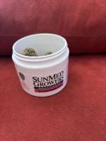 Dog Pound Genetic's Snoop Dogg OG - foto de Dutchman420