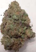 Dungeons Vault Genetics Grandpa's Breath - foto de GreenCranium