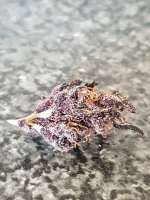 Fast Buds Company Blackberry - foto de Ganjagrandaddy