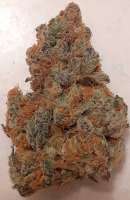 Fresh Coast Seed Company Meat The Cookies - foto de GreenCranium