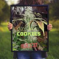 Garden of Green Girl Scout Cookies - foto de JONEYBIGWEED