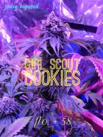 Garden of Green Girl Scout Cookies - foto de JONEYBIGWEED