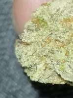 Imagen de BudBro (TrainWreck)