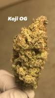 Greensleeves Genetics Koji OG - foto de GreensleevesAK