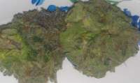 Imagen de NeWcS (Bubba Kush)