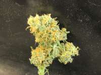 Imagen de LEDgrowman (Green Crack)