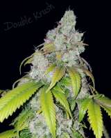 Imagen de HydroOrganicFla (Double Krush)