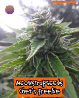 Meows Trap Seeds Chets Freebie - foto de 420meowmeowmeow