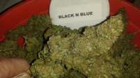 Imagen de New420Guy (Black n Blue)