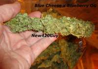 Imagen de New420Guy (Blue Tahoe Cheese)