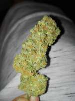 Imagen de EckMcjagger (Fresh Candy)