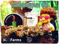 Imagen de Justin108 (Kosher Kush)