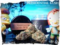 Royal Queen Seeds Presidential OG - foto de Justin108