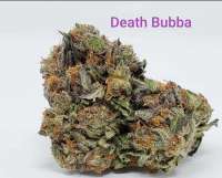 Sea to Sky Alternative Healing Death Bubba - foto de TheHappyChameleon