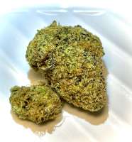 Seed Junky Genetics Emergen-C - foto de EmergenC