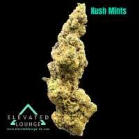 Pic for Kush Mints (Seed Junky Genetics)
