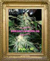 Imagen de JONEYBIGWEED (Badazz Cookies OG)