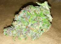 Imagen de Growgod (Hindu Kush)