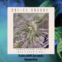 Talez Of Chronic Sci-Fi Snackz - foto de Talezofchronic1