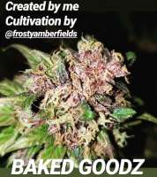 Imagen de TheBakeryGenetics (BakedGoodz)