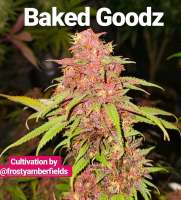 The Bakery Genetics BakedGoodz - foto de Thebakerygenetics