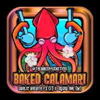 The Bakery Genetics Baked Calamari - foto de TheBakeryGenetics