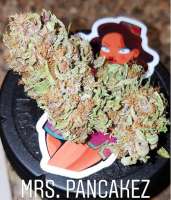 Imagen de TheBakeryGenetics (Mrs Pancakez)