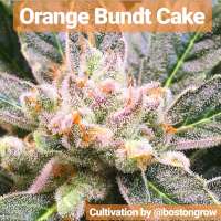 Imagen de Thebakerygenetics (Orange Bundt Cake)