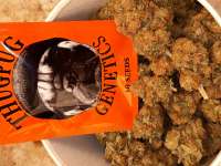 Imagen de Dutchman420 (Glukie Breath)