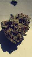 Imagen de Zombstudios (Peanut Butter Breath)