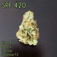 Waffle House Genetics SPF 420 - foto de Wafflehousegenetics