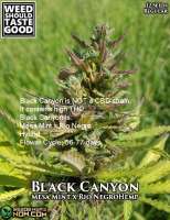 Weed Should Taste Good Black Canyon - foto de WeedShouldTasteGood
