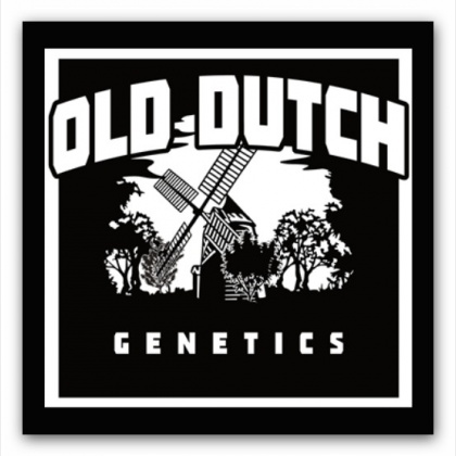 OldDutchGenetics